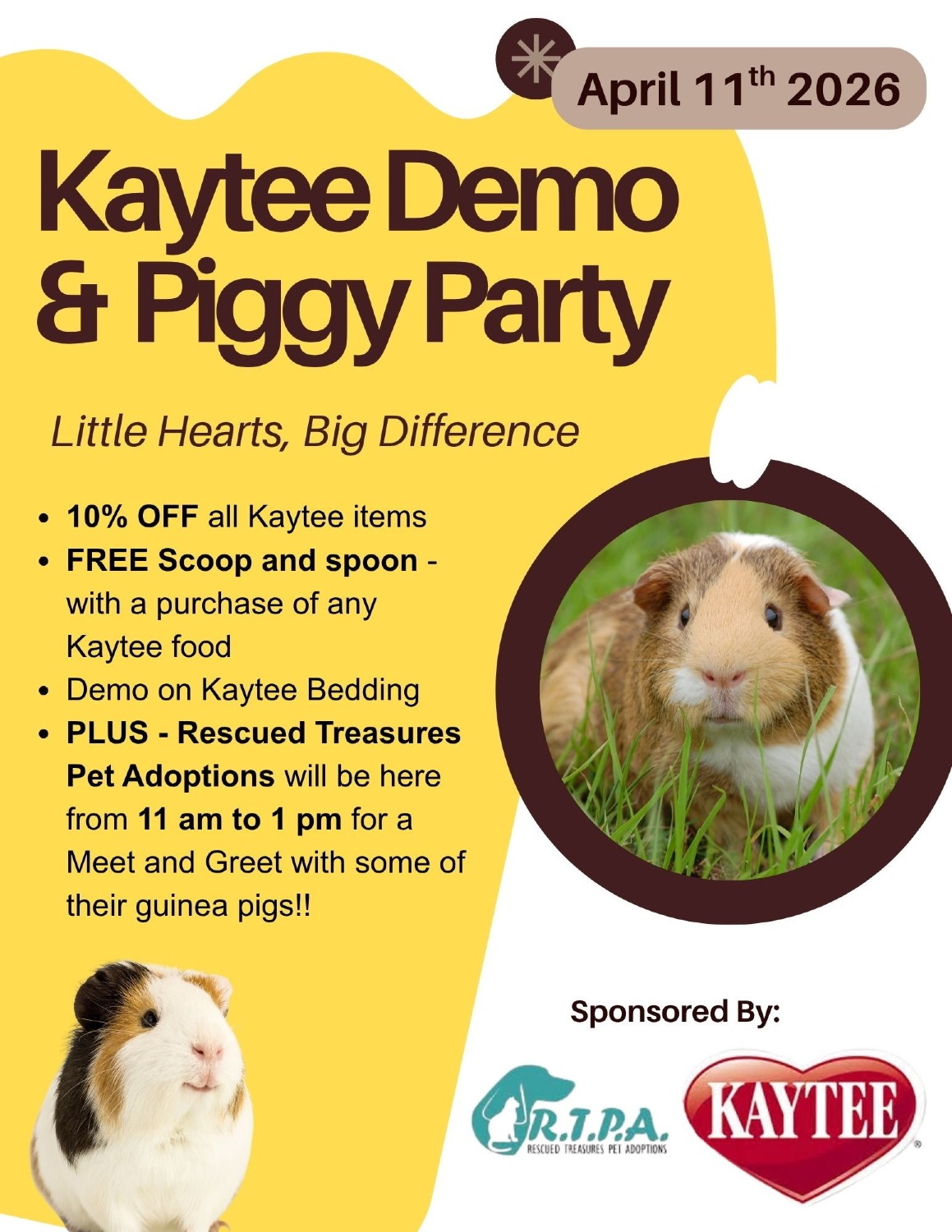 Kaytee Demo & Piggy Party 🐹