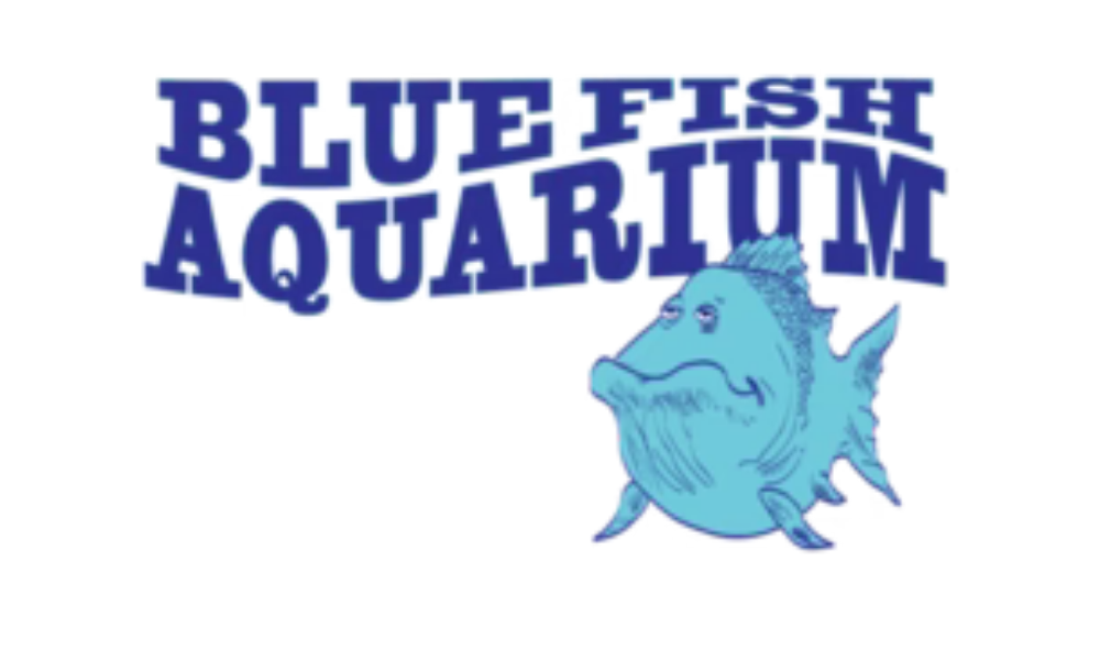 Blue Fish Aquarium