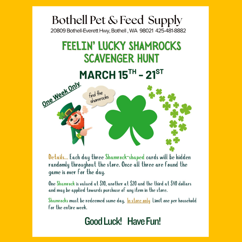 🍀 Feelin’ Lucky? Shamrocks Scavenger Hunt! 🍀