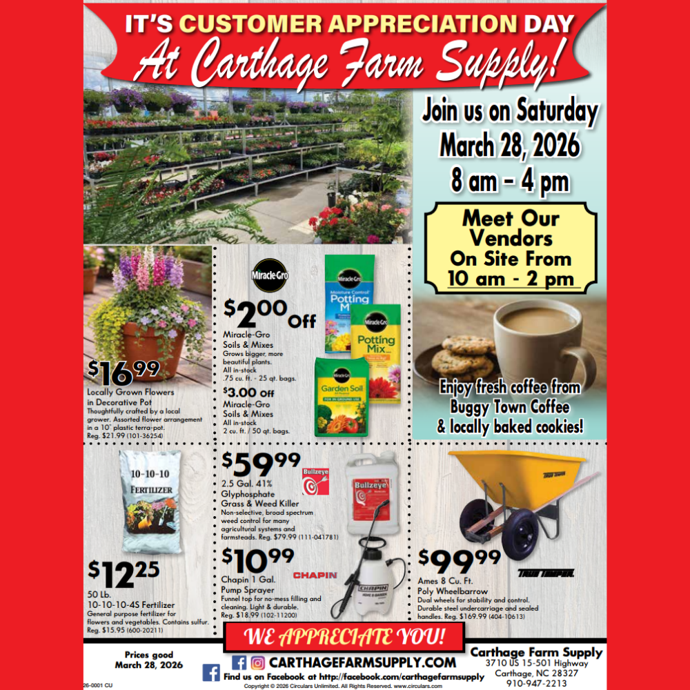 🎉 Customer Appreciation Day – We’re Celebrating YOU! 🎉