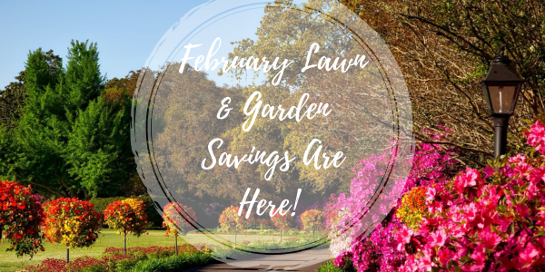 🌿 Spring Lawn Upgrade Deal 🌿