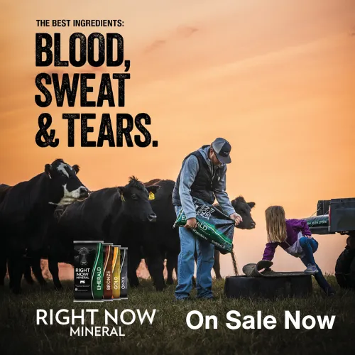 Spring Mineral Offer!