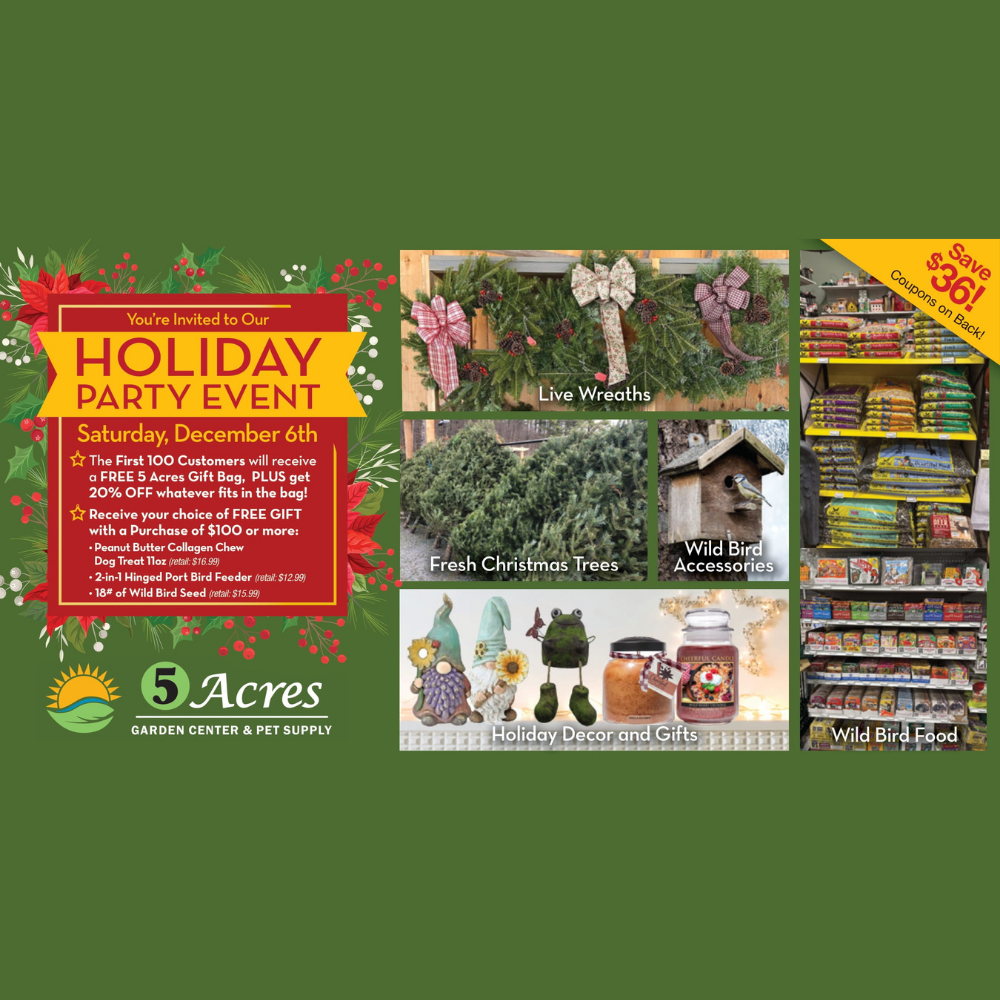 🎉 You’re Invited to Our Holiday Party! 🎉