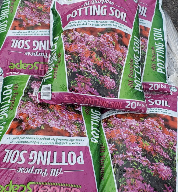 Welcome, February! It’s the perfect time to start planning your spring planting.