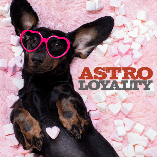 February Astro Offers