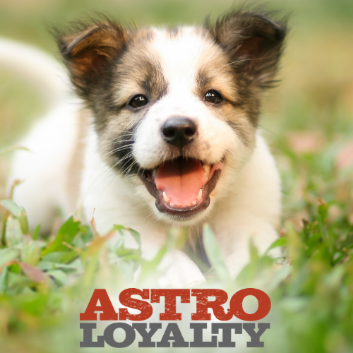 March Astro Deals