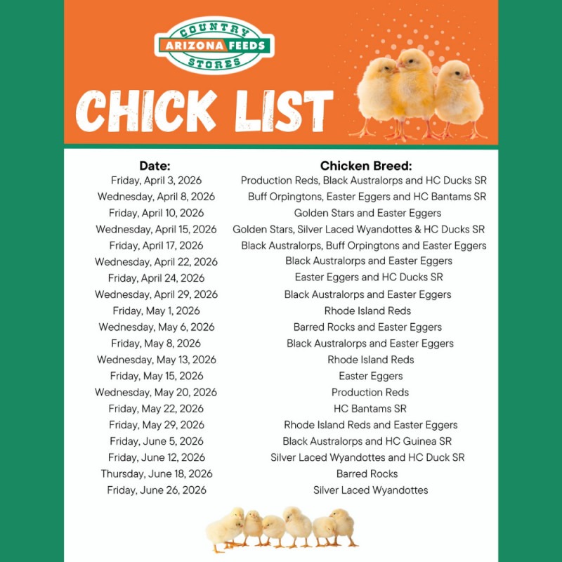 North Store Chick List: April - June 2026