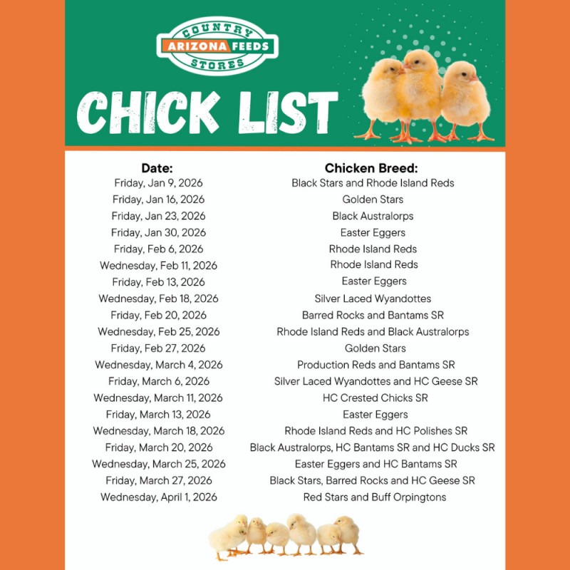 North Store Chick List: July - December 2026