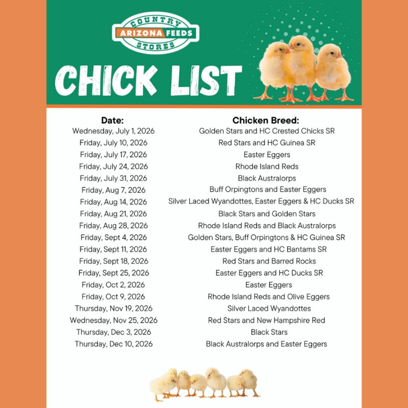 North Store Chick List: January - April 2026