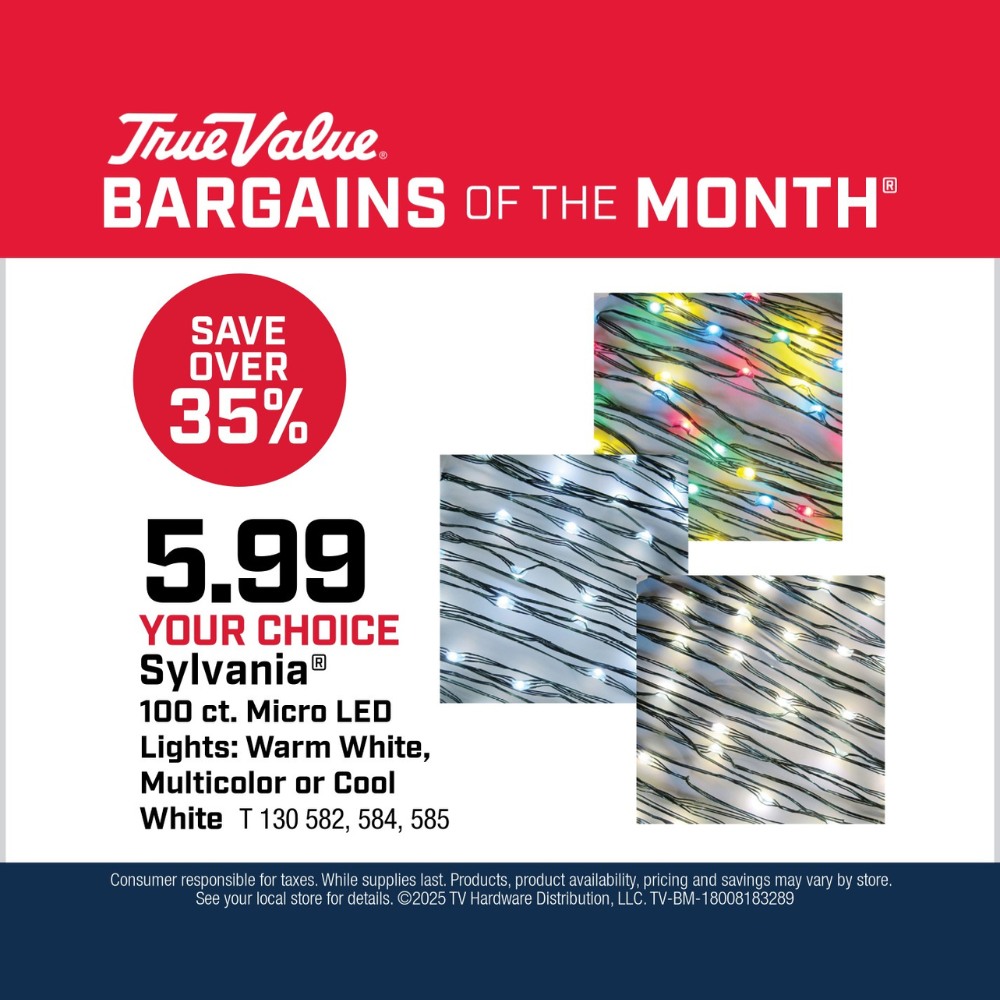 Your Choice Sylvania® 100 ct. Micro LED Lights $5.99