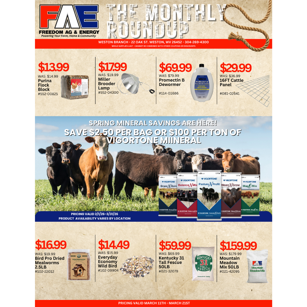 The Monthly Roundup - Weston