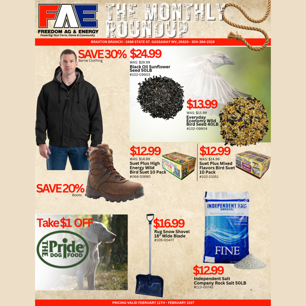 The Monthly Roundup - Braxton