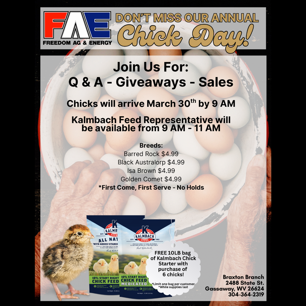 Annual Chick Day - Braxton