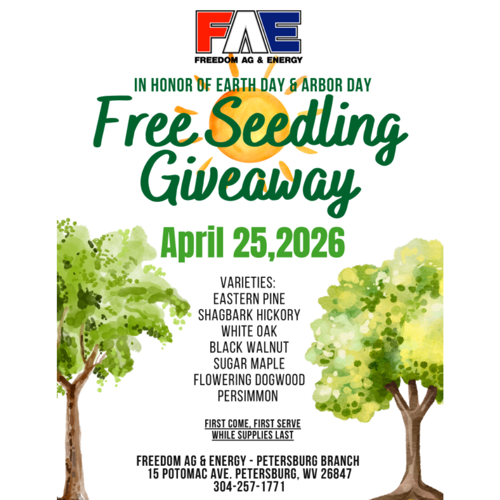 Free Seedling Giveaway - Petersburg