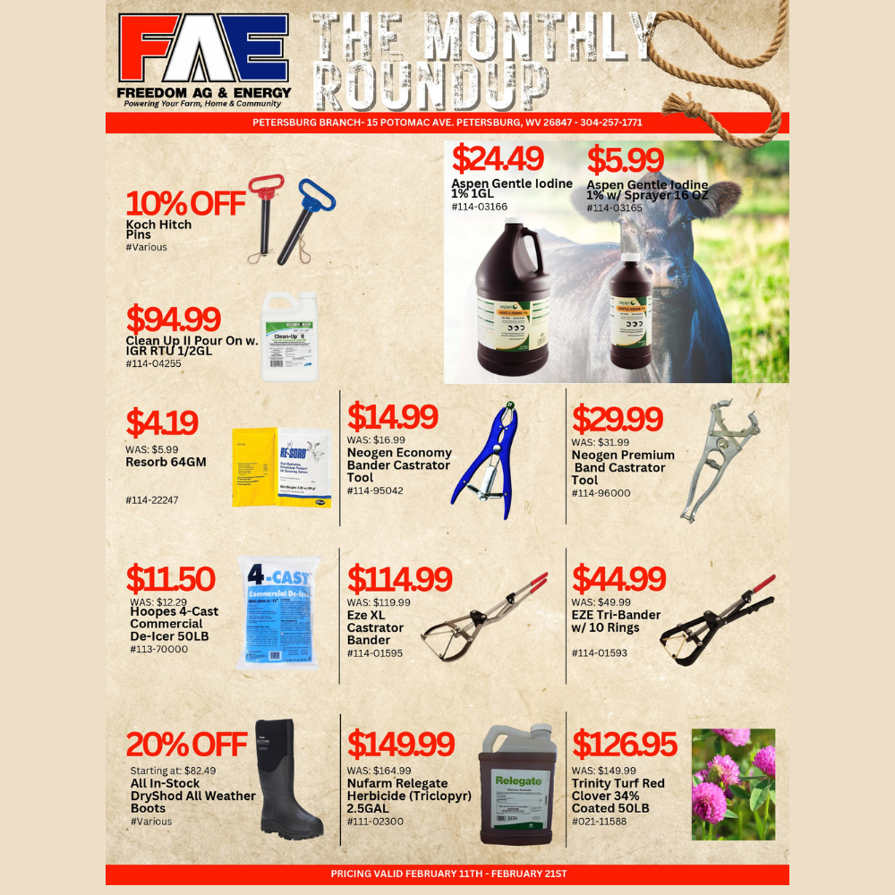 The Monthly Roundup - Petersburg