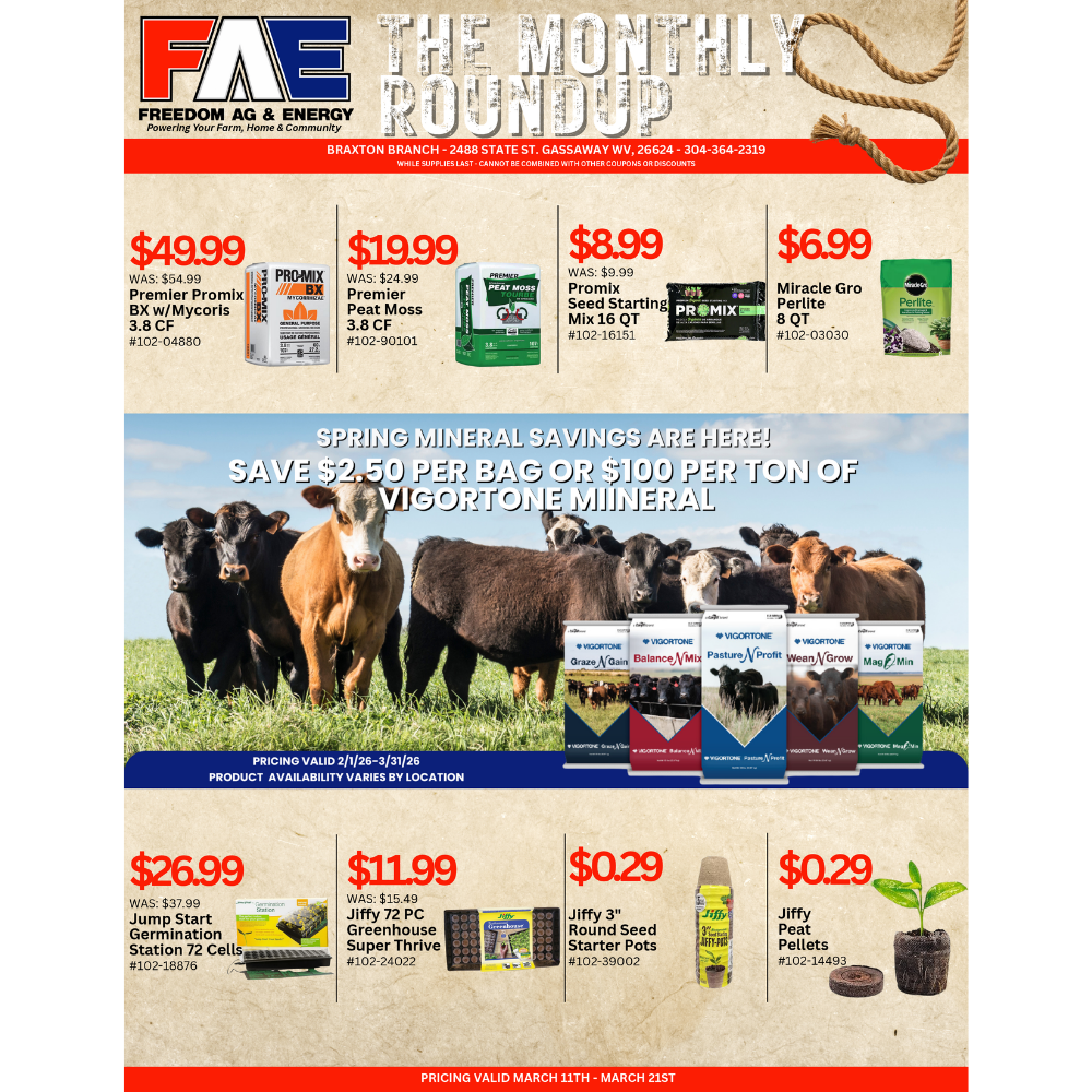 The Monthly Roundup - Braxton