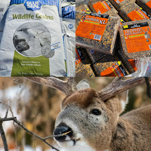 A bag of Blue Seal Wildlife Grains and several blocks of Granola XL and Trophy Deer Block are shown. Below, a deer chews on a twig in a wooded setting.