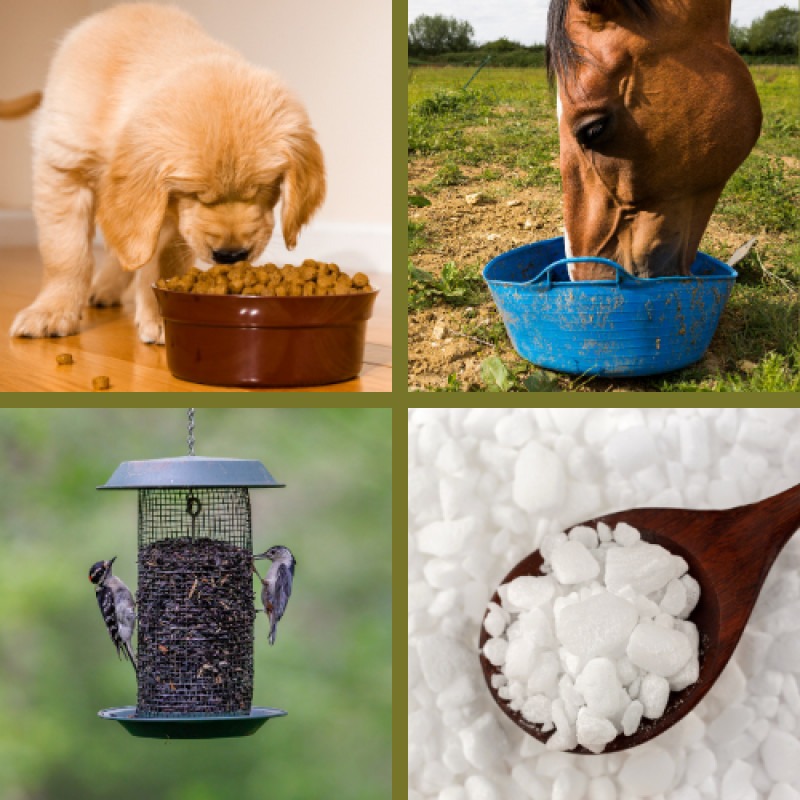 Programs Offered Exclusively At Grove City Agway