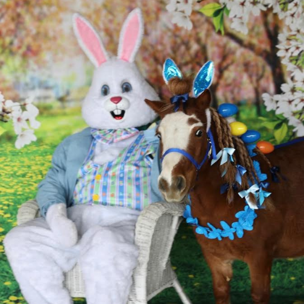 Pictures with the Easter Bunny