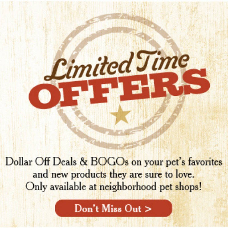 December Pet Offers!