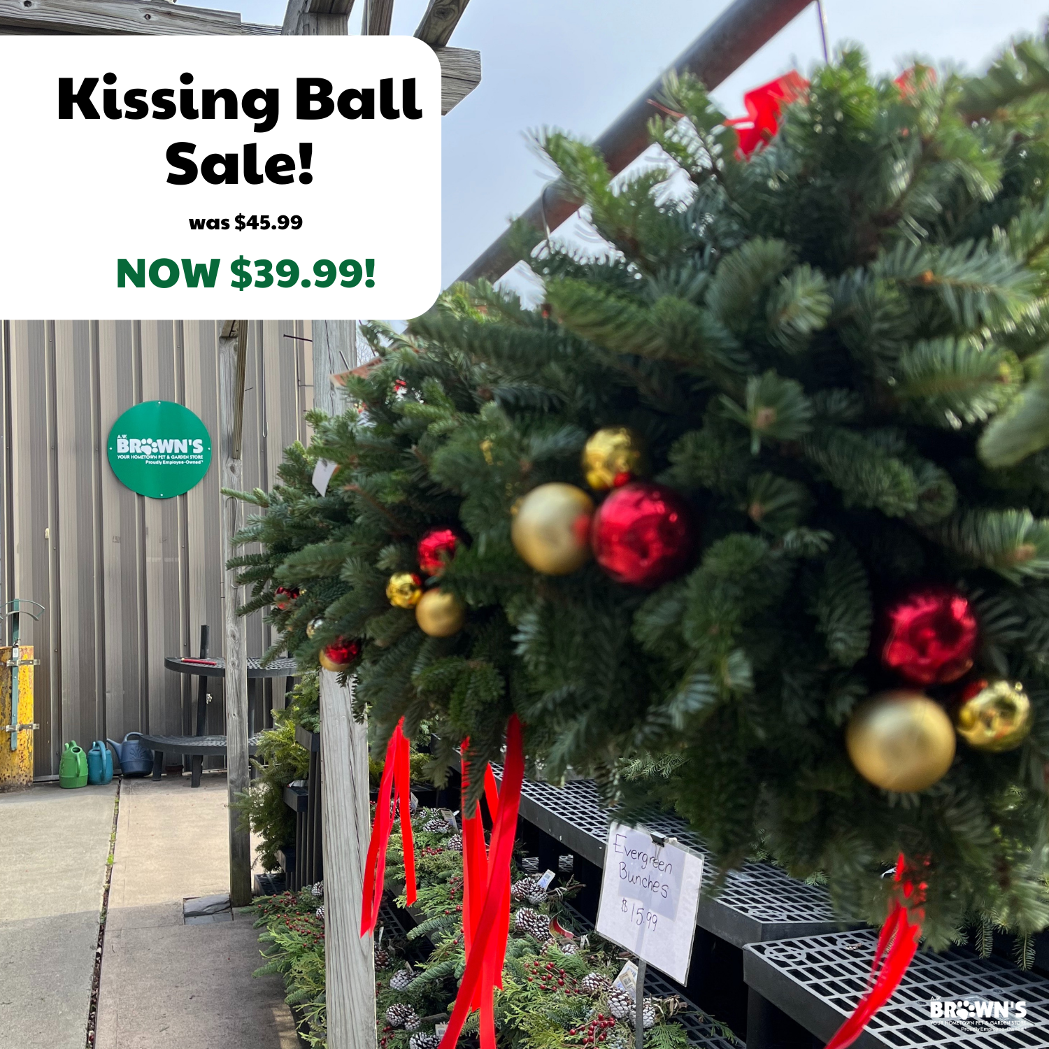Kissing Ball Sale!