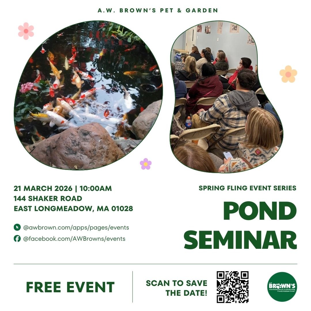 Pond Seminar