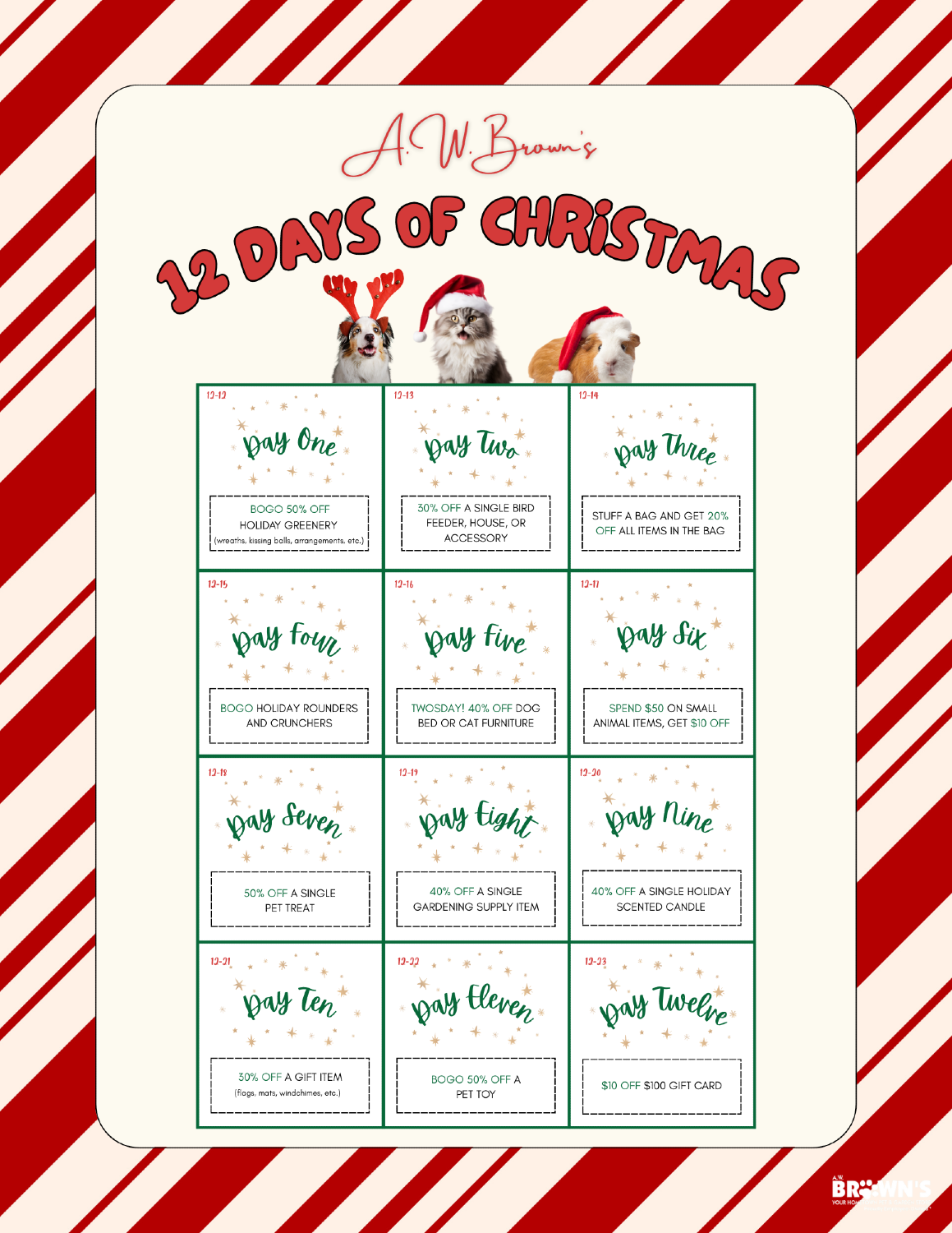 12 Days of Christmas Super Sale: BONUS DAY