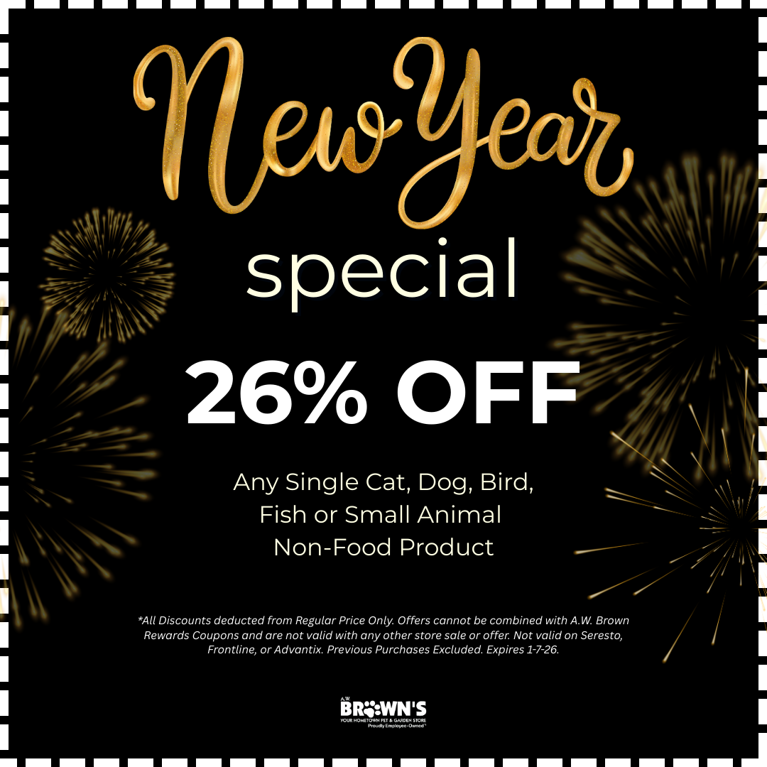 New Year's Special Coupon!
