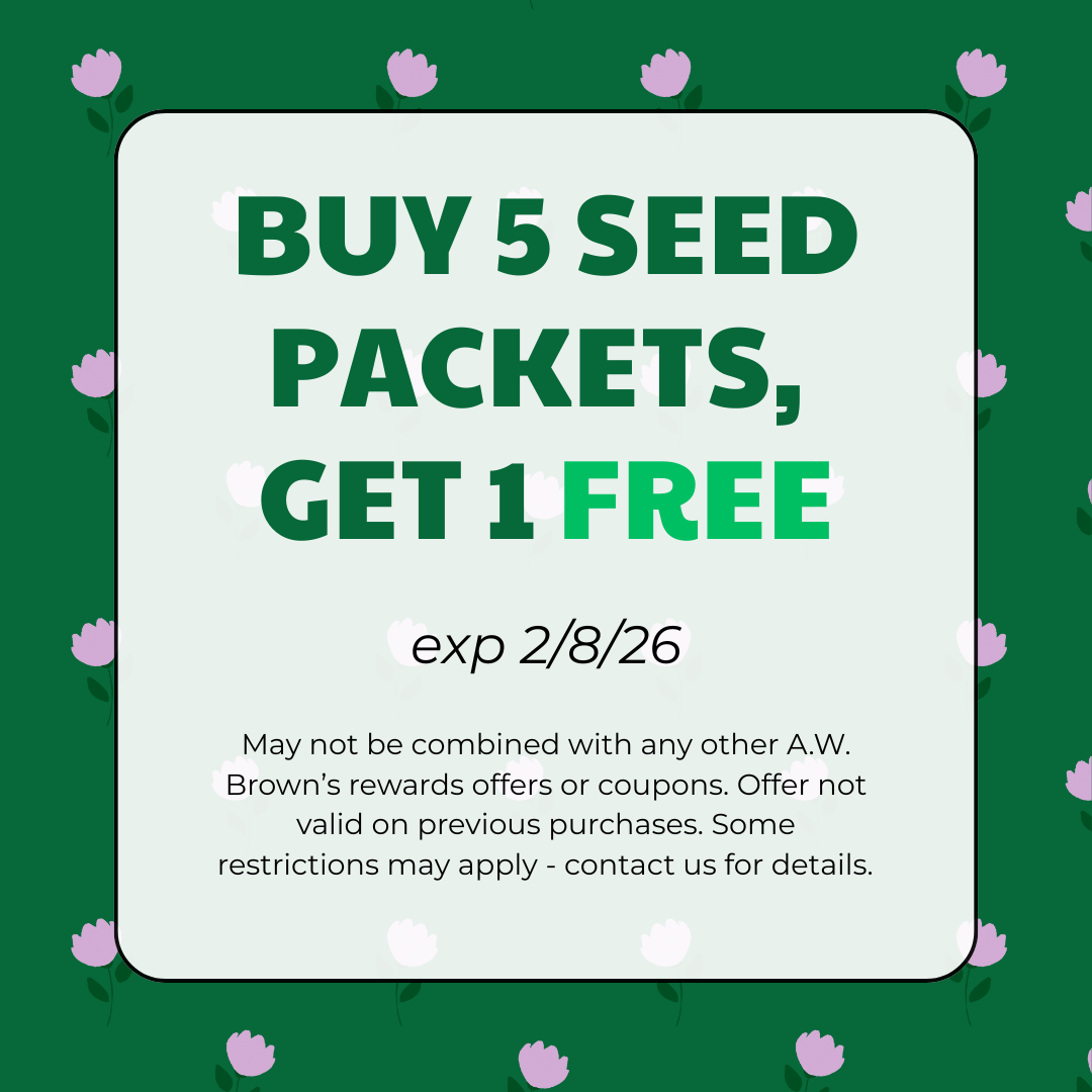 Buy 5 Seed Packets, Get 1 FREE!