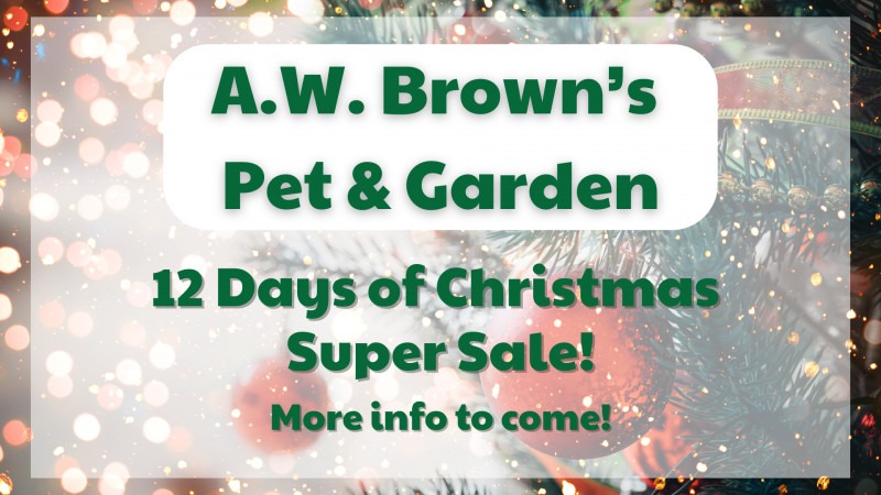 12 Days of Christmas Super Sale!