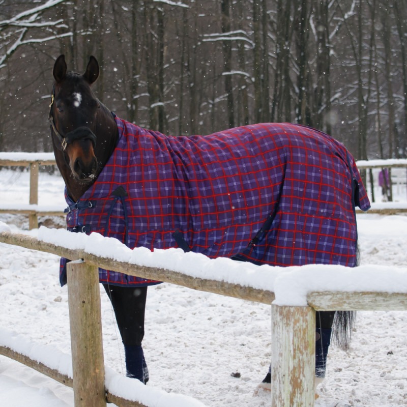 20% Off Horse & Dog Blankets