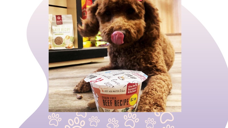 Frequent BUYER Program