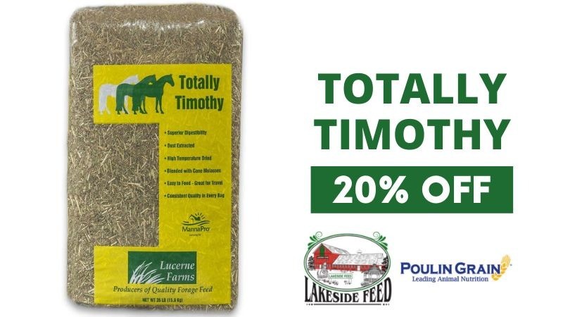 Totally Timothy Sale!