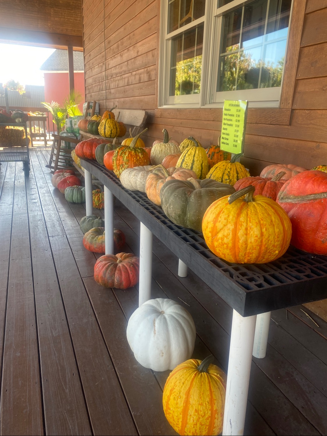 Pumpkins + Gourds Coming soon! 🎃 
