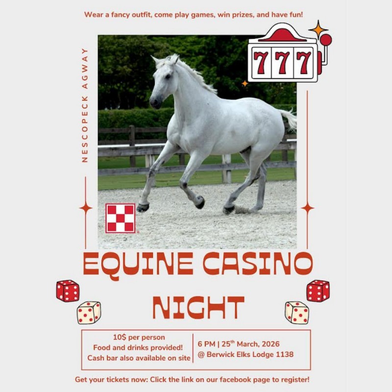 🎲 Equine Casino Night 🎉