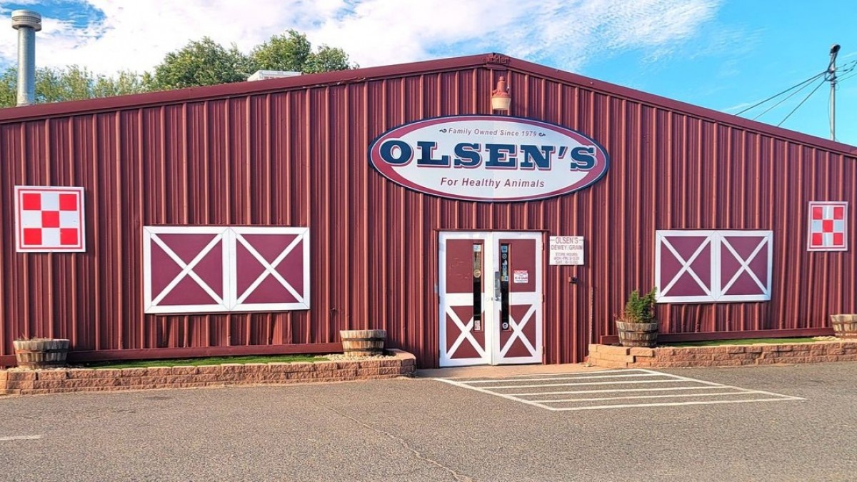 Olsen's Grain - Dewey