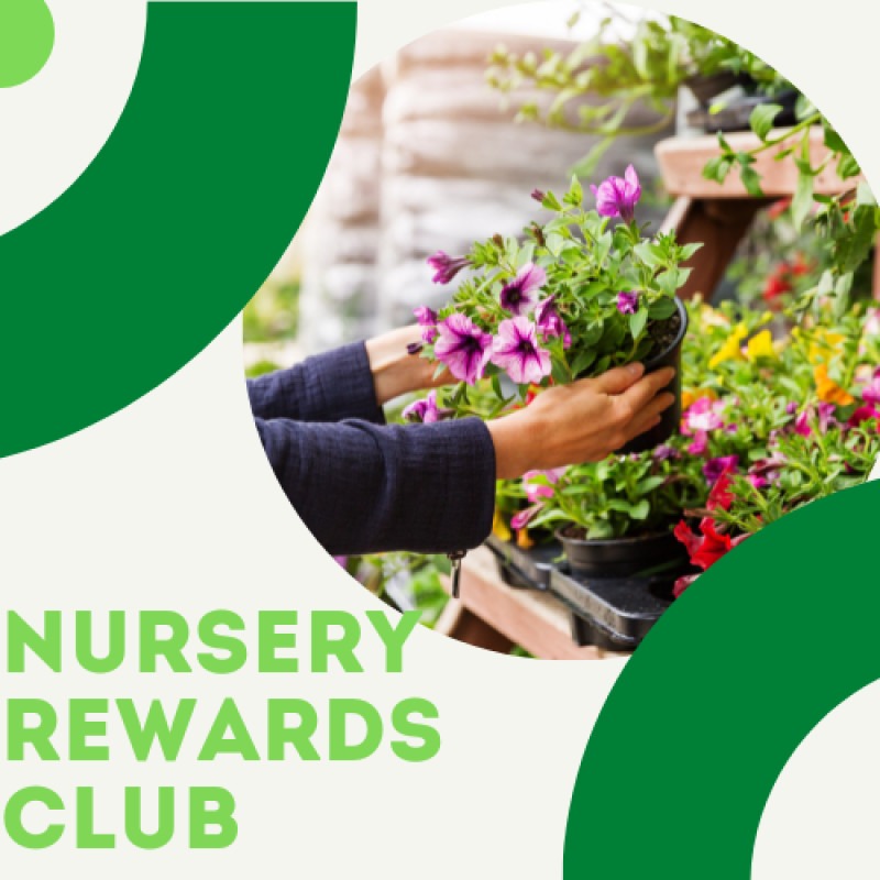Nursery Rewards Club