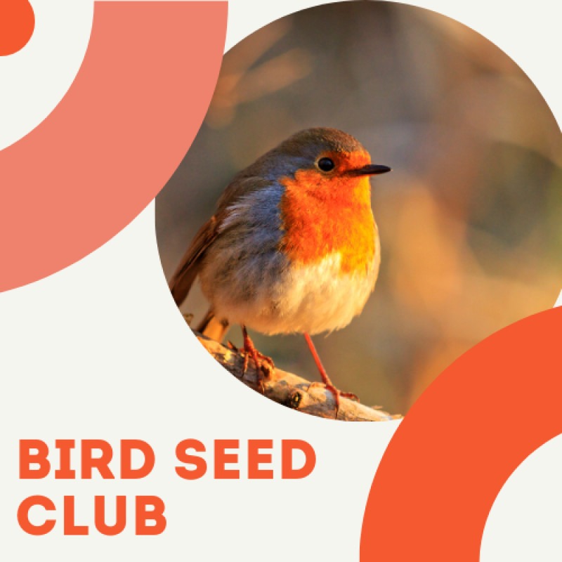 Bird Seed Club
