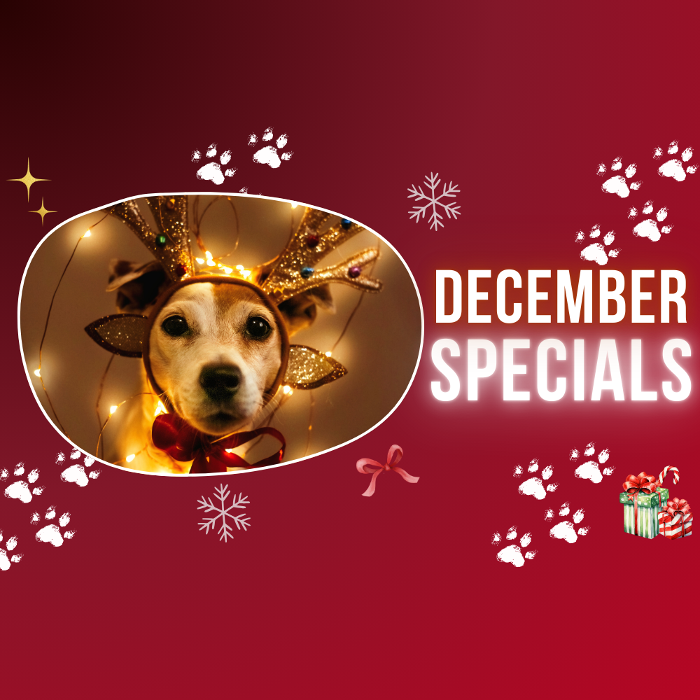 December Specials