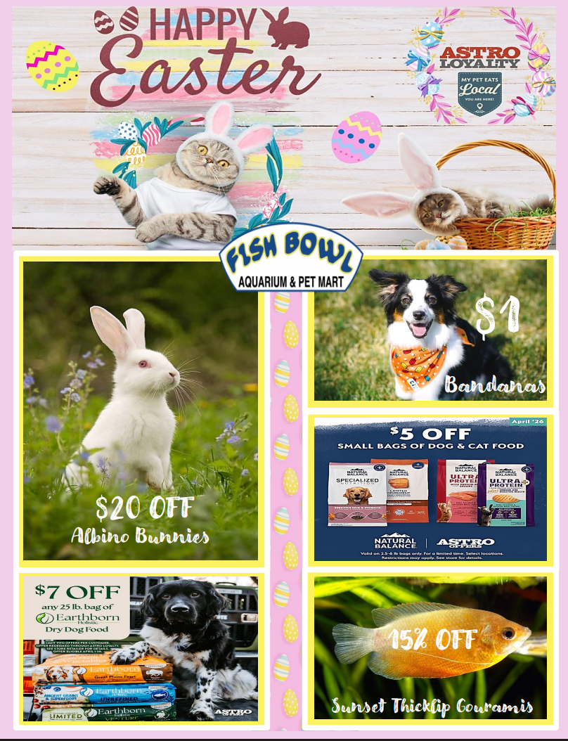 Easter Offers!