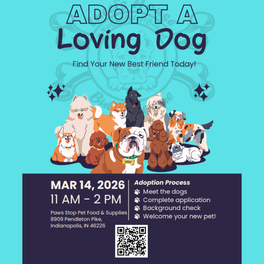 Adopt a Loving Dog 🐾