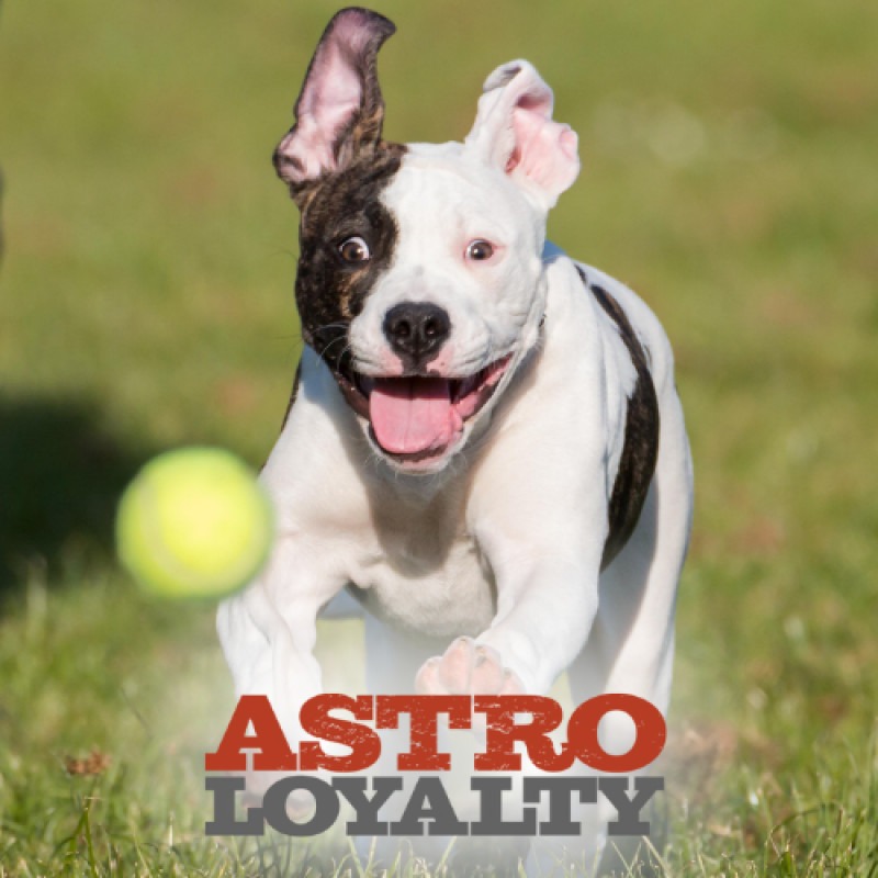 Astro Loyalty Program