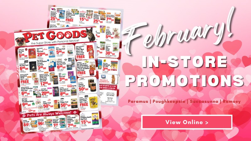 February Savings | All Locations