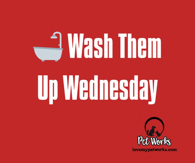 🛁 Wash Them Up Wednesday