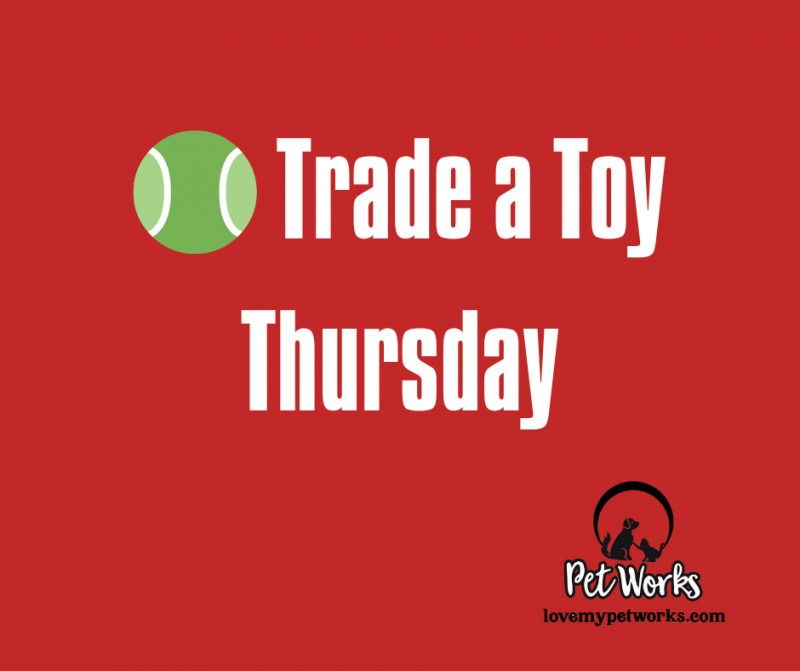 🎾 Trade a Toy Thursday