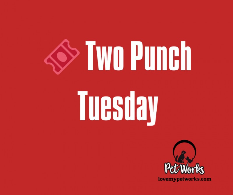 🎟️ Two Punch Tuesday