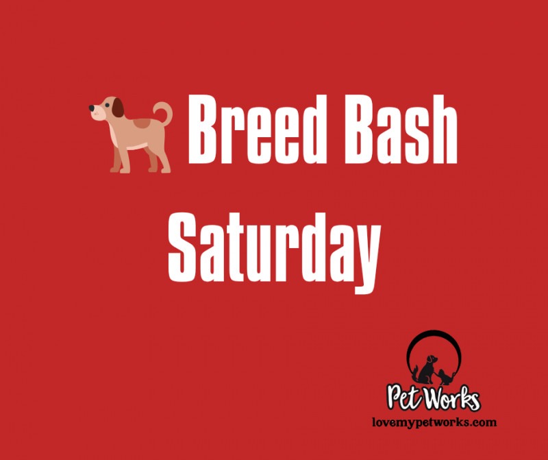 🐕 Breed Bash Saturday
