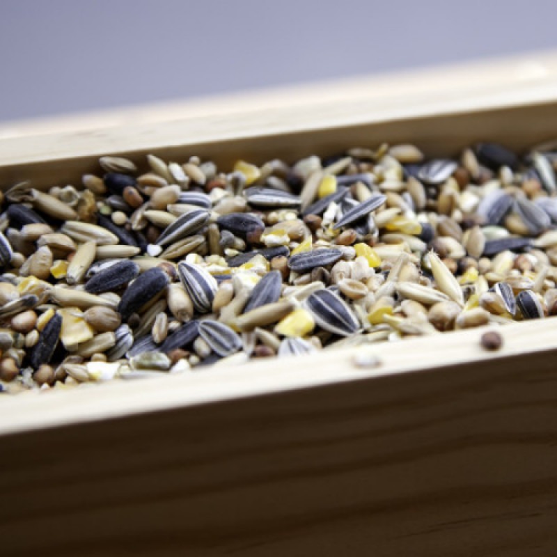 SR. Birdseed 10% Discount Everyday