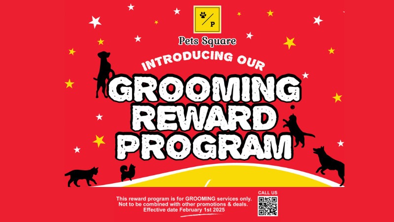 Loyalty Program for Grooming