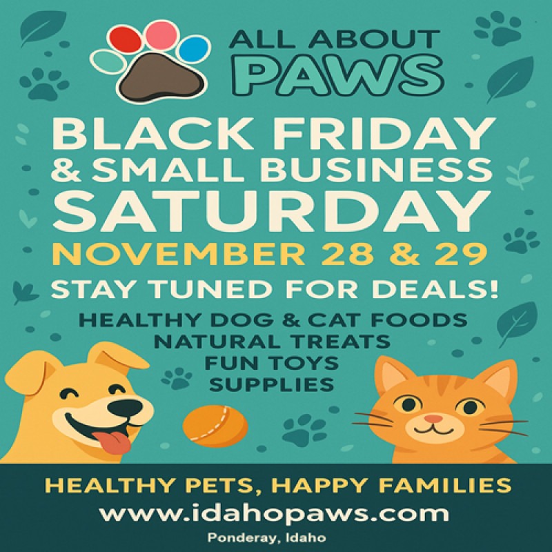 Black Friday & Small Business Saturday